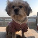 平平淡淡才是真