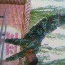 天山雄鹰จุ๊บ