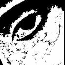 X-先生