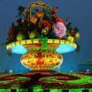 大步向前走不回头