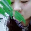 ⚡阳光☀