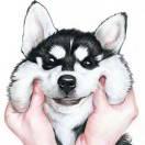 土可乐    7、…