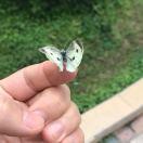 健