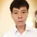 爱情被伤透