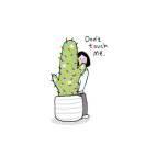 一颗小多肉