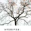 你若盛开蝴蝶自来