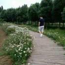 岁月风霜三十载