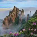 天下无敌