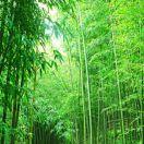 满满小助手