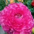 你是风儿我是沙