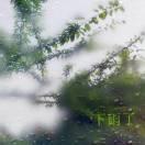 珍贵