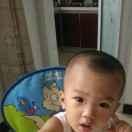 十八香锅外卖—小树苗