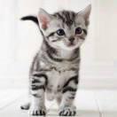 浪子回头💓莫寂寞