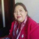 陈宏玲