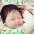 洋柿子炒番茄