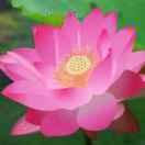 年轻无极限。。