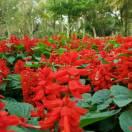 平凡人生😊😊