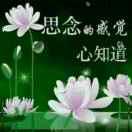 恰似你的温柔