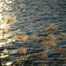 🌸浅浅一笑🥂