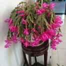 若有缘☞再相见（有赞必回）