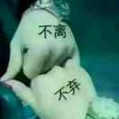 若只如初见