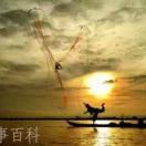 随便