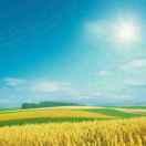 万达建筑用品商行