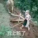 扯淡的爱越扯越淡