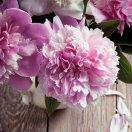 头部功夫养发馆惠子