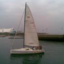 对方正在输入...