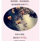 菊予花香，自苦寒