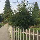 A电动门、李平f