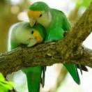 587
