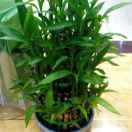 回忆^最美却最伤人^