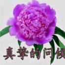 夏末~傍晚的风