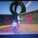 成都新勇军物流