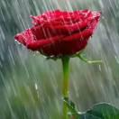 西门子(长春赛德居然官方体验店)