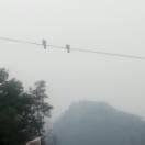 恨漓另リsんāηɡ