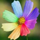 栖遇精品度假公寓