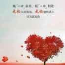 刘佳