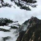 知己
