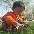 纯天然绿色学渣