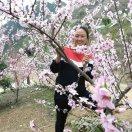 施秉下杉河生态园