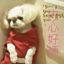 眹孤苦林丁