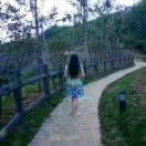 ……傲雪寒梅……