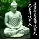 随遇而安