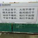 放飞自我