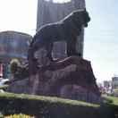 摩雅推拿馆官方号