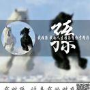 聆风听雨