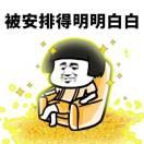 此处省略。。。